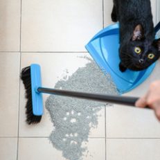 Cleaners & Deodorizers