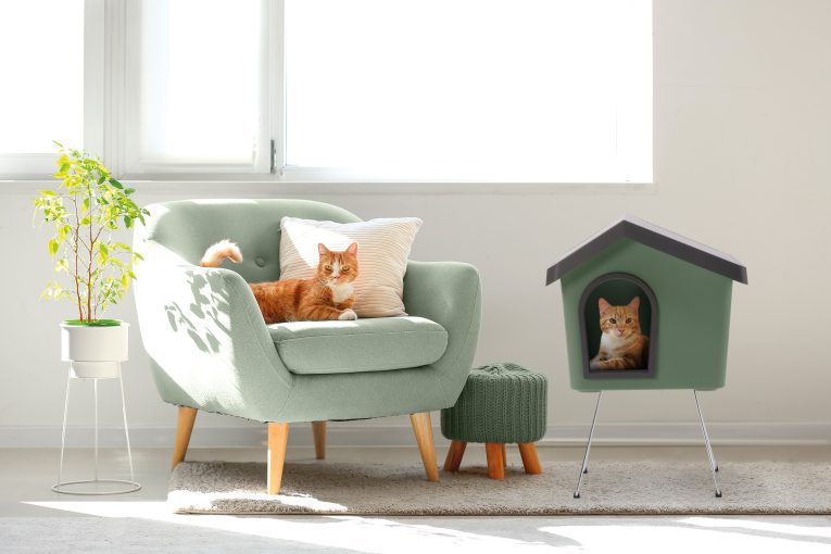 Cute red cat lying on grey armchair in living room