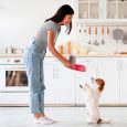 Cute dog jack russel terrier breed standing on hind legs, waiting for food, young asian woman in casual outfit feeding her pet, kitchen interior, full size photo, side view, panorama with copy space