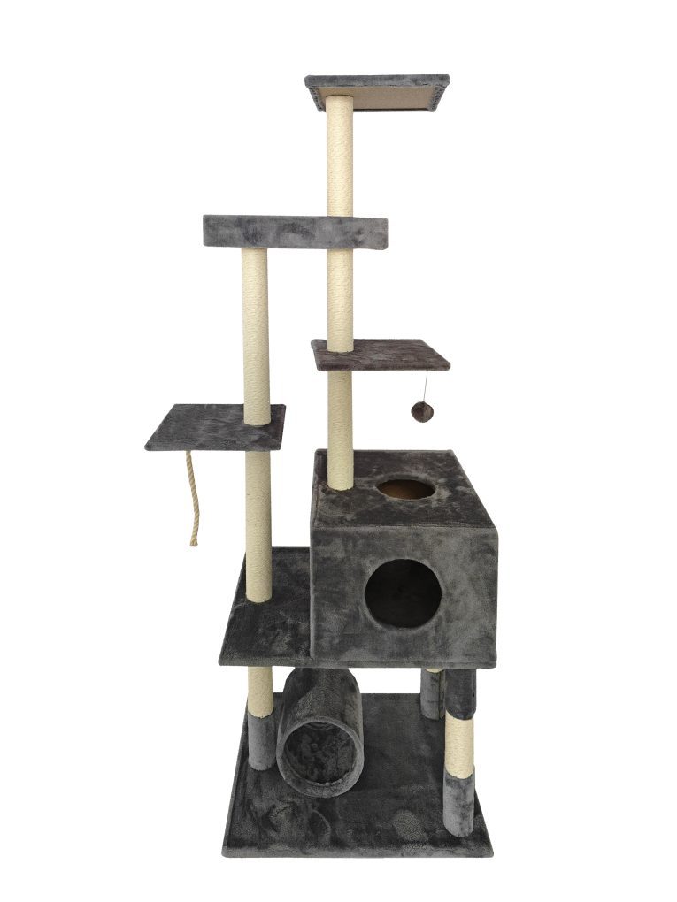 IGT025