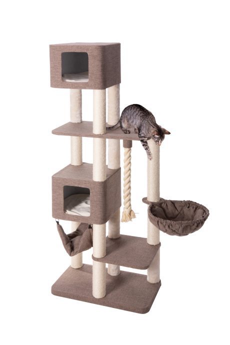 Cat Scratcher Minnie