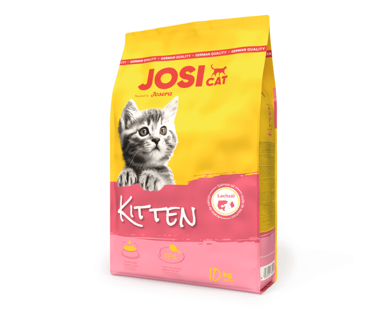 kitten 10kg