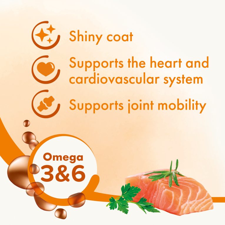 11285_Ecommerce_Salmon-Oil_GB-3