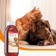 11285_Ecommerce_Salmon-Oil_GB-4