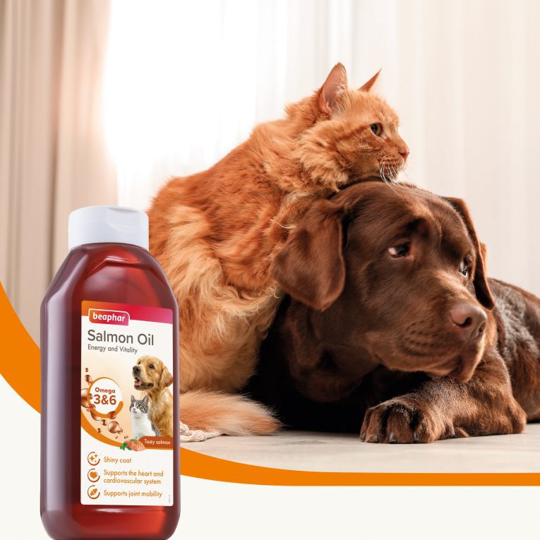 11285_Ecommerce_Salmon-Oil_GB-4