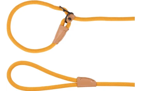 Anti-Pull Puppy Leash Malibu