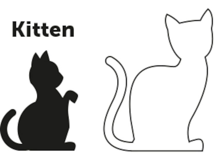 kitten_cat_new