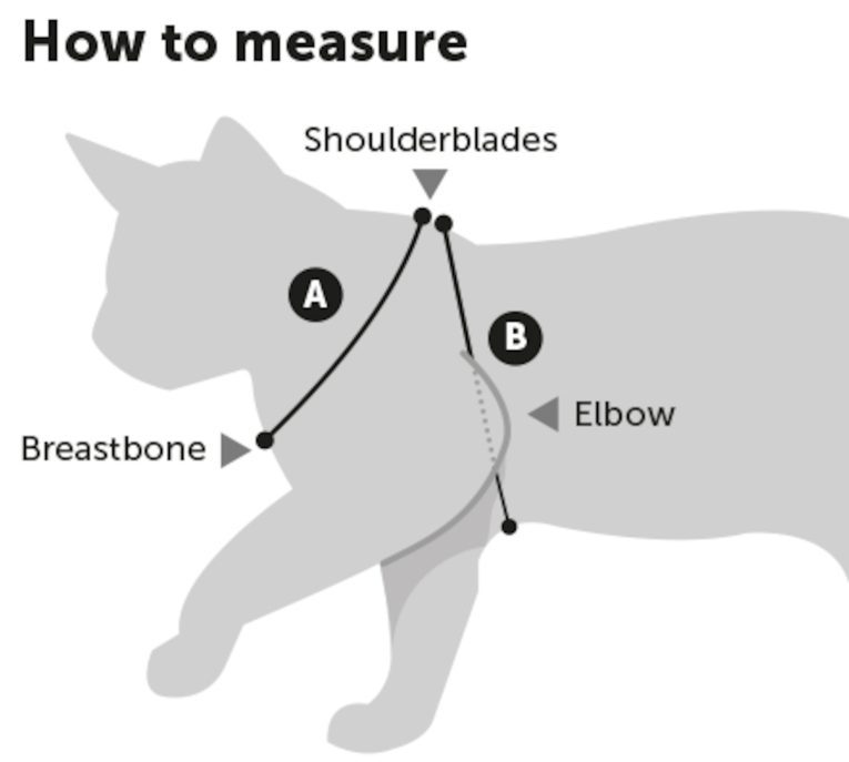how_to_measure