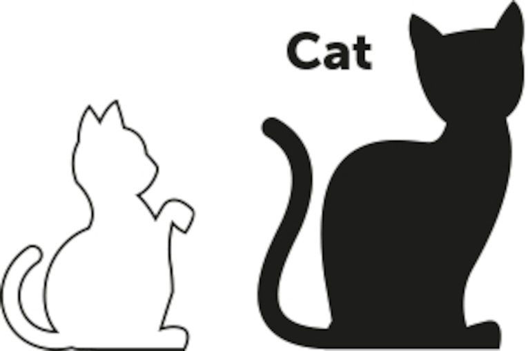 cat_kitten
