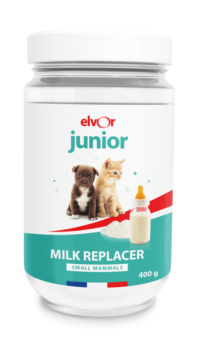 Maquette Elvor Junior 400g