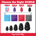 kong xtream01