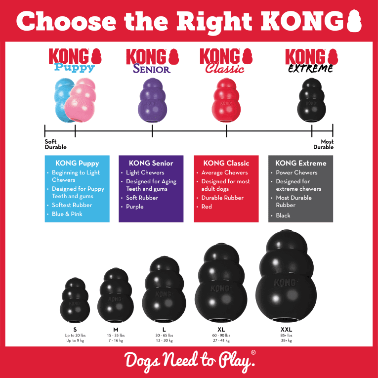 kong xtream01