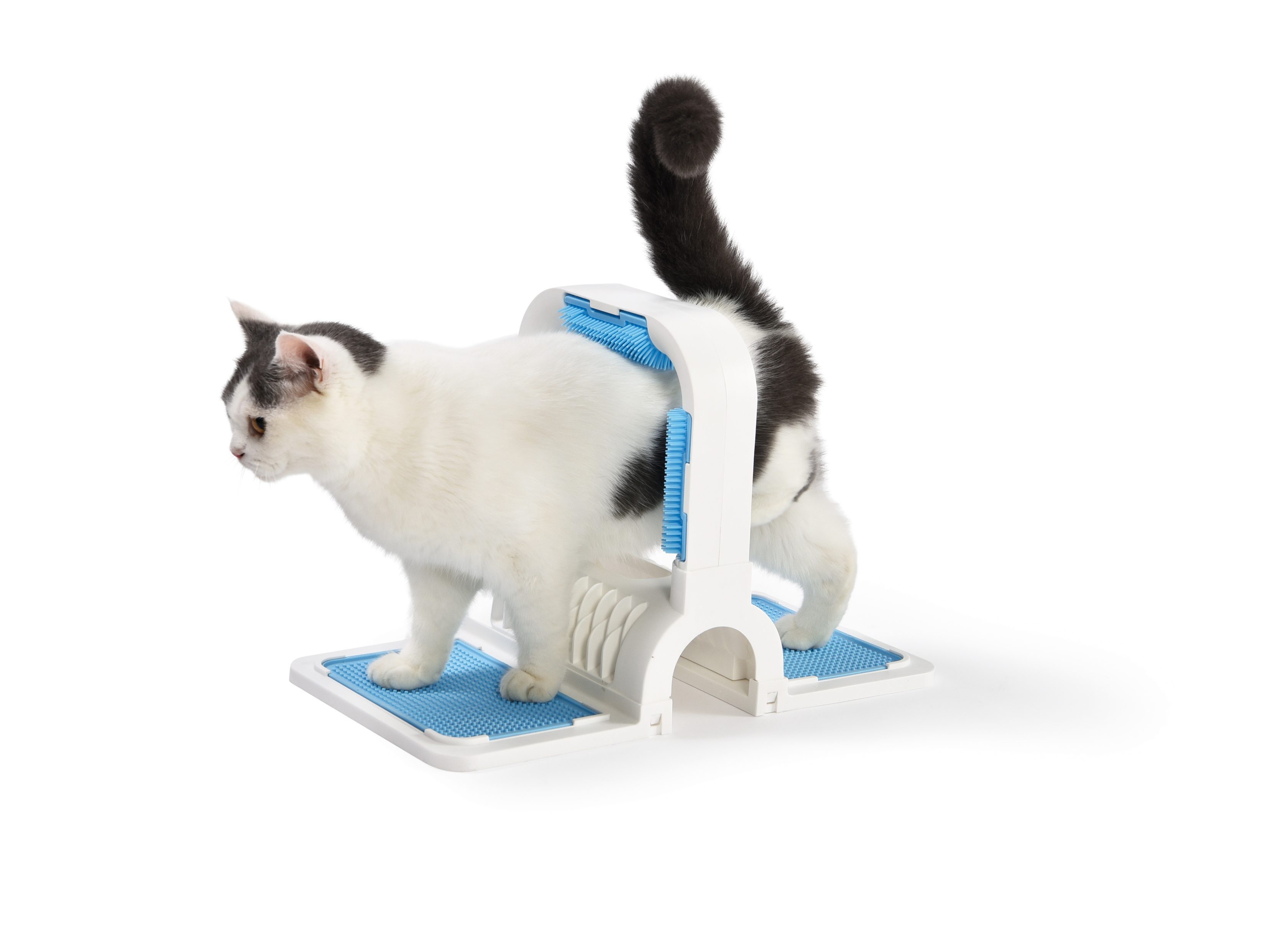 Cat Toy ARCO