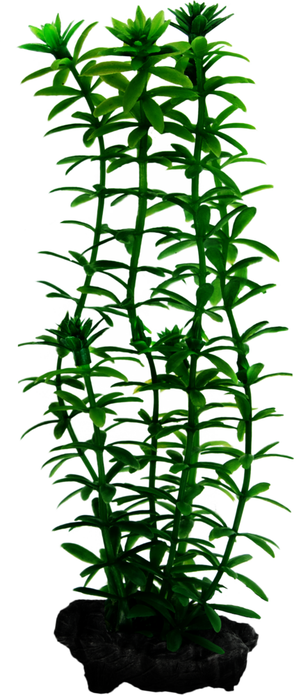 Tetra DecoArt Plant Anacharis