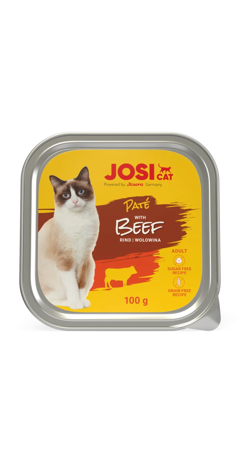 JosiCat_Pate_Beef_100g_Alu_frontal