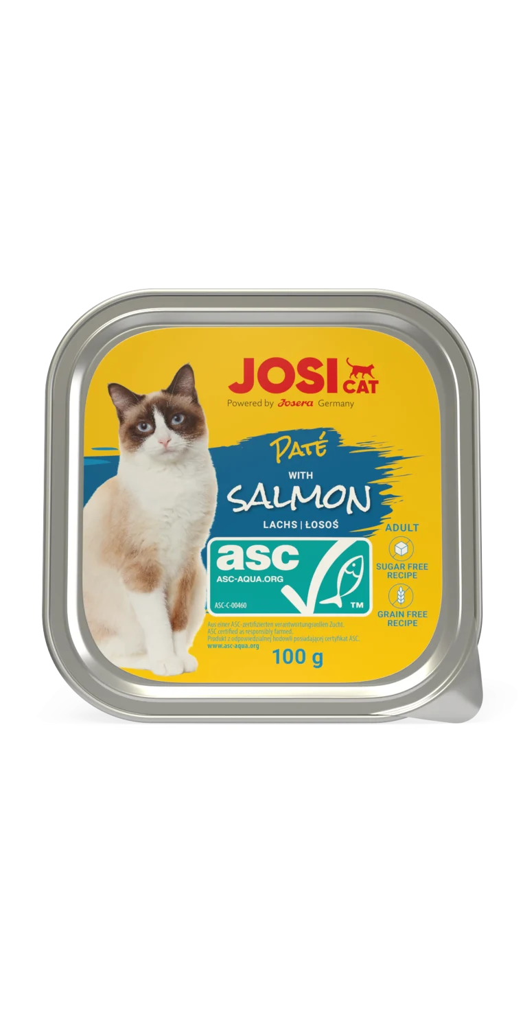 JosiCat_Pate_ASC_Salmon_100g_Alu_frontal