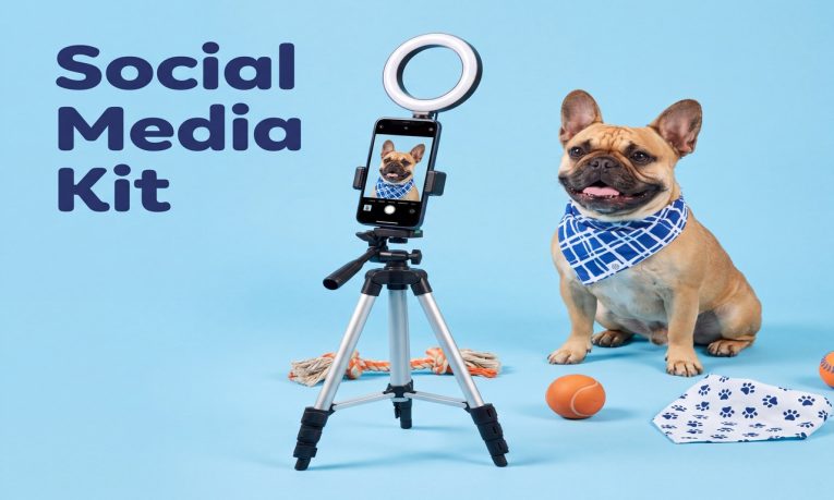 PC-13 Pet Business Social Media Canva Bundle